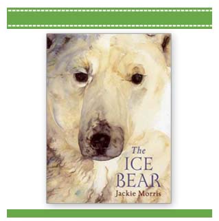 The Ice Bear book Jackie Morris