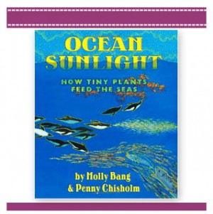 ocean sunlight, how plants feed seas children's book